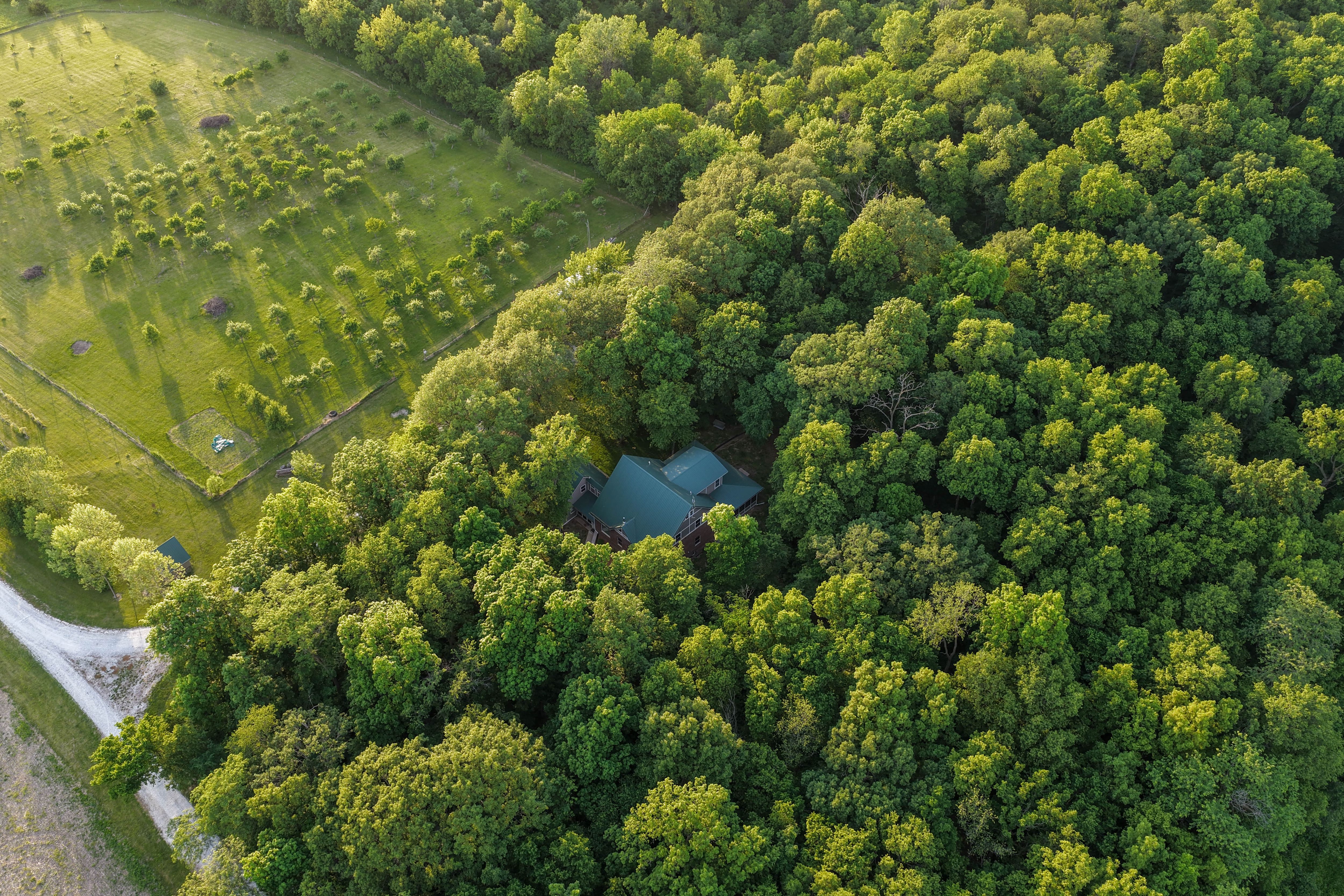 Listing Photo: Washington County Iowa Recreational Land For Sale-37
